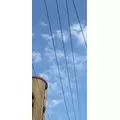桜井 ここみ|札幌市 中央区南のニュークラブ|Leicester(レスター)