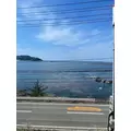 サヤ|さいたま市 大宮区仲町のキャバクラ|ai(アイ)