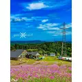 神崎　唯|富山市 桜木町のキャバクラ|美ら 富山(チュラ トヤマ)