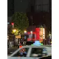 華宮 れい|札幌市 すすきののニュークラブ|P&J(ピーアンドジェイ)