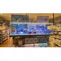 うた|福岡市 博多区中洲のキャバクラ|Red Shoes(レッドシューズ)