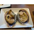 朝倉 しおり|名古屋市 中区錦の姉キャバクラ|ジュリアナ()