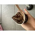 リン|長崎市 本石灰町のラウンジ|RELAIR(リレア)