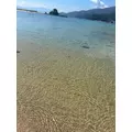 ナミ|海部郡 蟹江町錦のキャバクラ|carthago(カルタゴ)