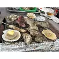 七星 夏純|旭川市 4条通のニュークラブ|Four Season(フォーシーズン)