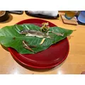 八神 ゆうこ|名古屋市 中区錦のクラブ|色錦()