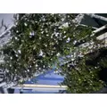 みさ|長崎市 本石灰町のキャバクラ|AERA(アエラ)