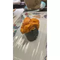 しほ|都城市 牟田町のキャバクラ|Jardin(ハルディン)
