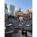 西園寺 ゆきみ|札幌市 中央区南のニュークラブ|Leicester(レスター)
