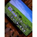 綾瀬 優|札幌市 中央区南のニュークラブ|Leicester(レスター)
