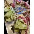 華月 まお|札幌市 中央区南のニュークラブ|Leicester(レスター)