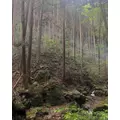 聖菜|さいたま市 大宮区仲町のキャバクラ|ai(アイ)