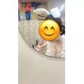 まゆか|海部郡 蟹江町錦のキャバクラ|carthago(カルタゴ)