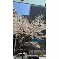 マコト|さいたま市 大宮区仲町のキャバクラ|ai(アイ)