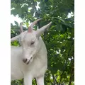 薫|都城市 牟田町のキャバクラ|Jardin(ハルディン)