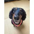 なつき|京都市 東山区富永町のキャバクラ|fun(ファン)