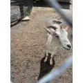 みらい|都城市 牟田町のキャバクラ|Jardin(ハルディン)
