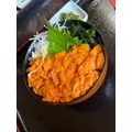 天月 あすな|札幌市 すすきののニュークラブ|Fillia(フィリア)