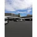 さき|小田原市 栄町のガールズバー|& Co.(アンドコー)