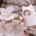 あんな|足立区 千住のキャバクラ|Donfin(ドンフィン)