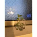 エミ （スタッフ）|海部郡 蟹江町錦のキャバクラ|carthago(カルタゴ)