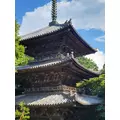 桃園 かんな|富山市 総曲輪のキャバクラ|AZITO(アジト)