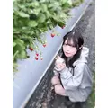 れいか|川越市 本川越のガールズバー|Lily(リリー)
