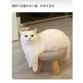 神楽 なな|札幌市 中央区南のニュークラブ|Leicester(レスター)
