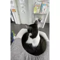 深羽|さいたま市 大宮区仲町のキャバクラ|Luxe(ラグゼ)