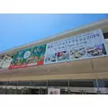 ゆり|福岡市 博多区中州のスナック|HALEMOANA(ハレモアナ)