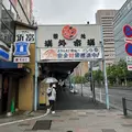 さくら|台東区 上野のガールズバー|Girls-Land-(ガールズランド)