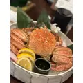柊 まりん|札幌市 すすきののニュークラブ|FILLIA(フィリア)