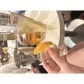 ひかる|渋谷区 宇田川町のキャバクラ|BABEL(バベル)