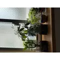 かえで|長崎市 銅座町のガールズバー|G291(ジーニクイチ)
