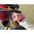 にも|新宿区 歌舞伎町のラウンジ|:(コロン)