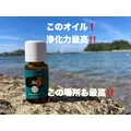 藤本 祐子ママ|長崎市 船大工町のスナック|咲耶(サクヤ)