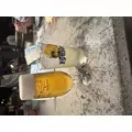 まほ|渋谷区 宇田川町のキャバクラ|BABEL(バベル)