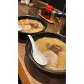 ユキ|長崎市 本石灰町のニュークラブ|ADANSONIA(アダンソニア)