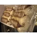 しおん|新宿区 歌舞伎町のラウンジ|:(コロン)