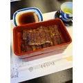 ゆき|福岡市 博多区中洲のコンカフェ|Candy Made(キャンディーメイド スーパーズ)