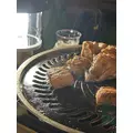 モモ|さいたま市 大宮区仲町のキャバクラ|ai(アイ)