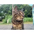 はづき|柏市 旭町のガールズバー|Meteor(ミーティア)