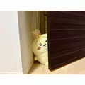 はるせ|福岡市 博多区中州のスナック|HALEMOANA(ハレモアナ)