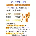椿 れいら|柏市 柏のキャバクラ|BECAUSE(ビコーズ)