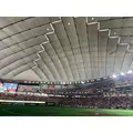 さやか|船橋市 本町のキャバクラ|Donfin(ドンフィン)