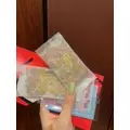 春風 ゆずな|札幌市 すすきののニュークラブ|凛()