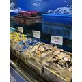 さやか|船橋市 本町のキャバクラ|Donfin(ドンフィン)