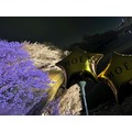 なみ|都城市 牟田町のキャバクラ|Jardin(ハルディン)