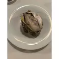 八神 ゆうこ|名古屋市 中区錦のクラブ|色錦()