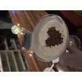 さつき|北足立郡 伊奈町内宿台のキャバクラ|星-Star-(スター)